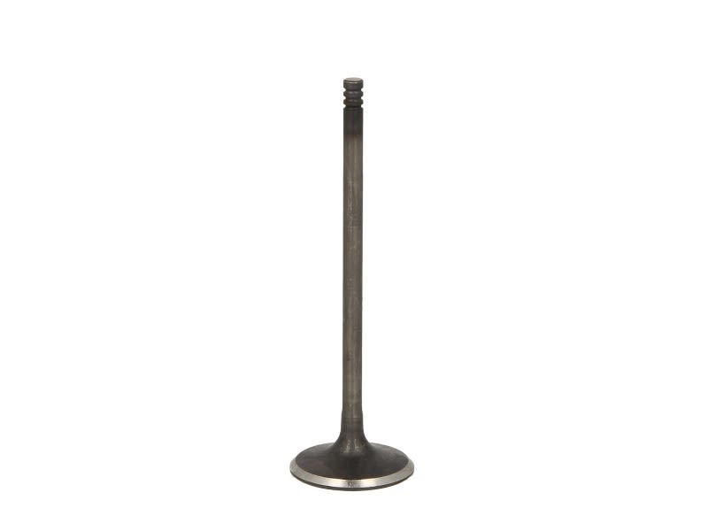 Válvula de admisión FRECCIA R6720/SNT para Opel Zafira B