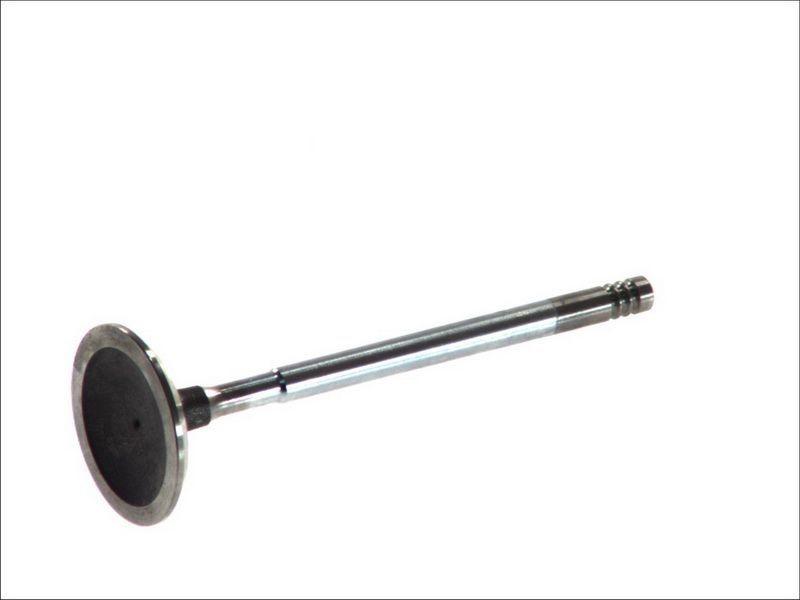 Válvula de admisión FRECCIA R6002/SCR para Ford Focus I