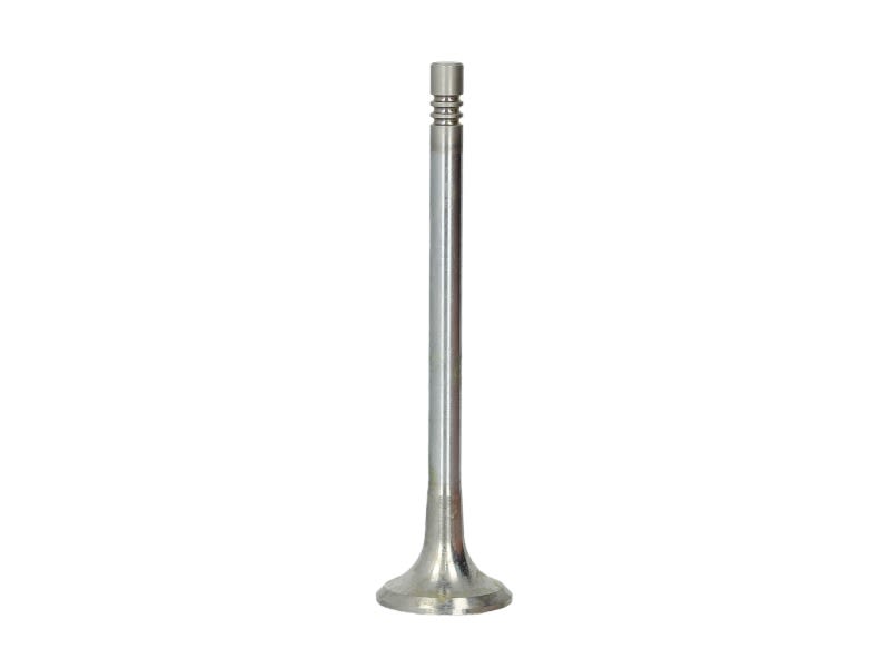 Válvula de escape FRECCIA R6549/RCR para Opel Astra J