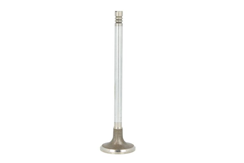 Válvula de admisión FRECCIA R6724/SCR para Citroen C4