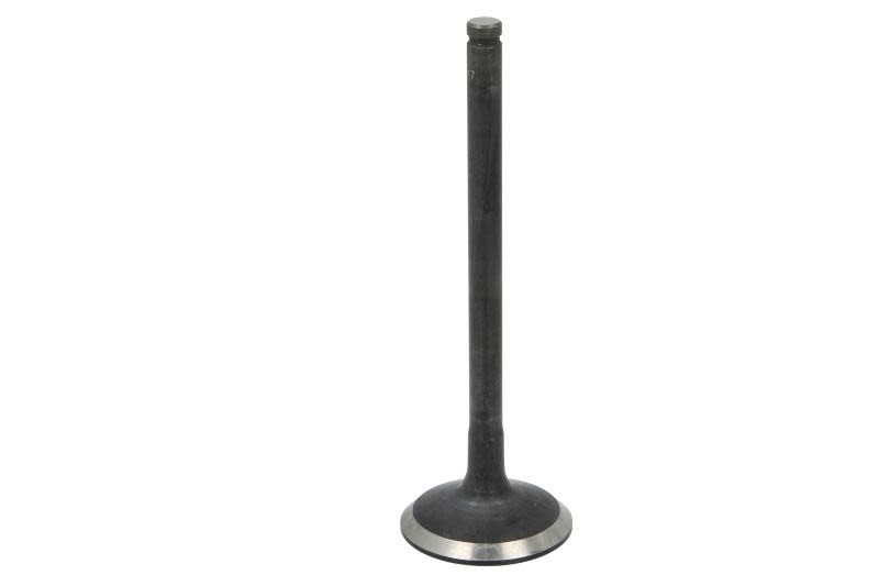 Válvula de escape DNJ EV1130 para Dodge RAM 1500