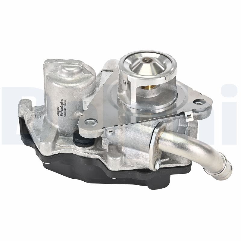 Válvula EGR DELPHI EG10552-12B1 para Audi A3