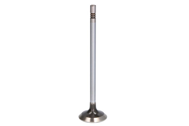 Válvula de escape AE V94593 para Peugeot Boxe