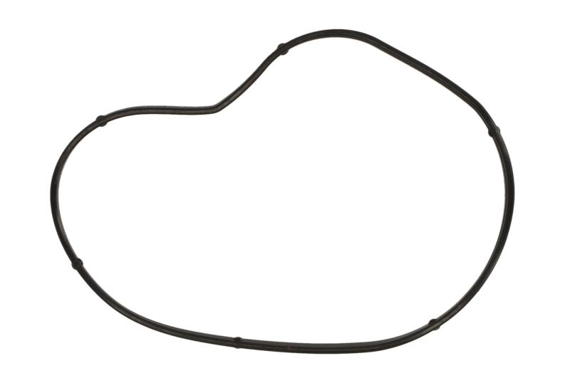 Empaquetadura de bomba de agua AJUSA 01099900 para BMW Serie 5 (E60) 2003-2010