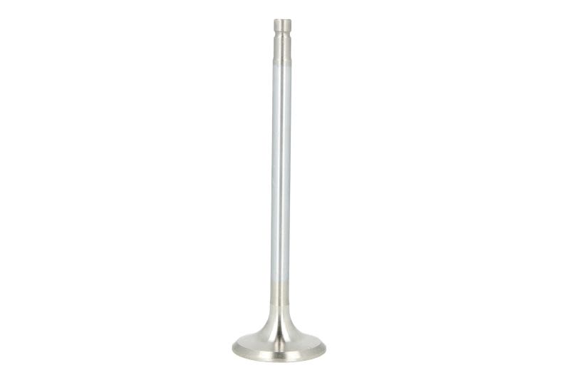 Válvula de escape FRECCIA R6616/BMARCR para Mazda CX-7