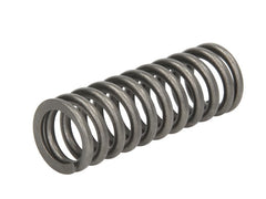 Resorte de válvula DT SPARE PARTS