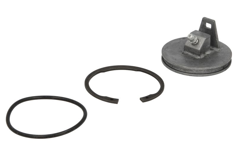 Kit de reparación de perno rey REINHOCH RH60-3002 para Mercedes-Benz Conecto (O 345) 1996-2007
