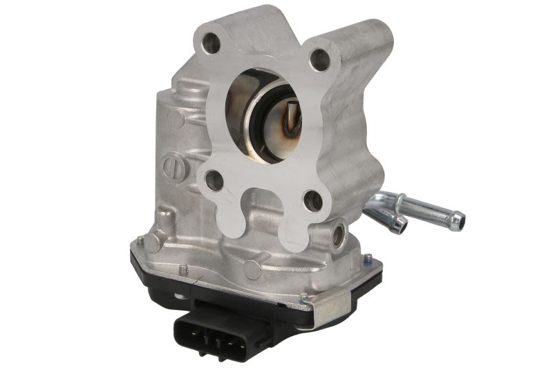 Válvula EGR DELPHI EG10654-12B1 para Nissan NP300