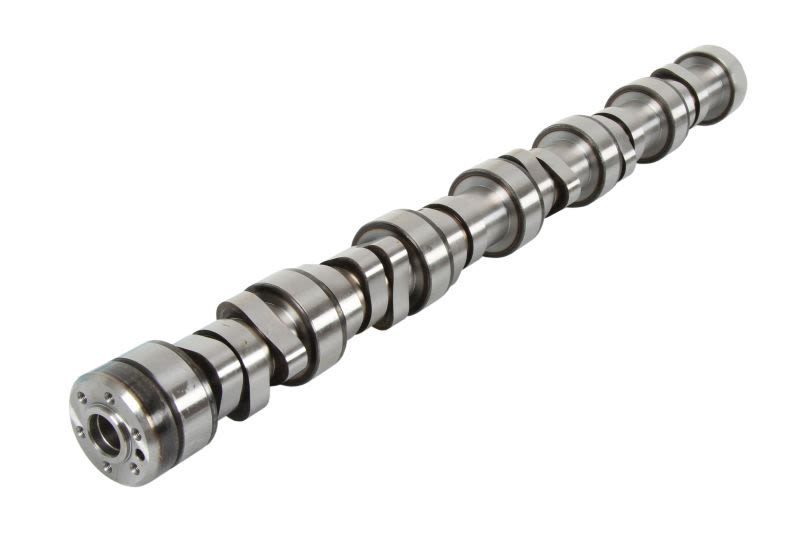 Árbol de levas BF 20100913005 para DAF CF