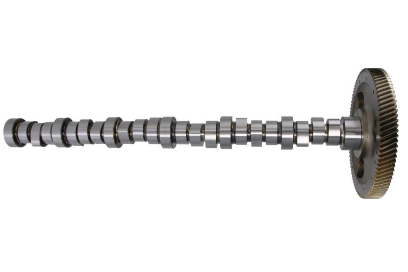 Árbol de levas ENGITECH ENT080025 para Mercedes-Benz OH