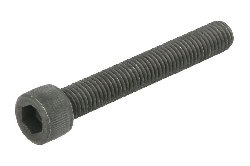 Tornillo de correa de depósito de combustible AUGER 101624 para Scania 4