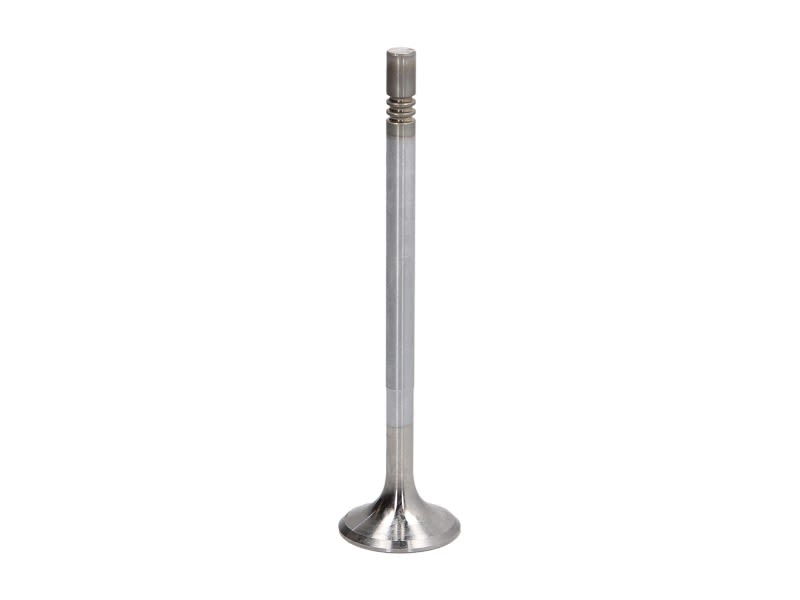 Válvula de escape FRECCIA R6474/RCR para Mercedes-Benz Clase A (W169) 2004-2012