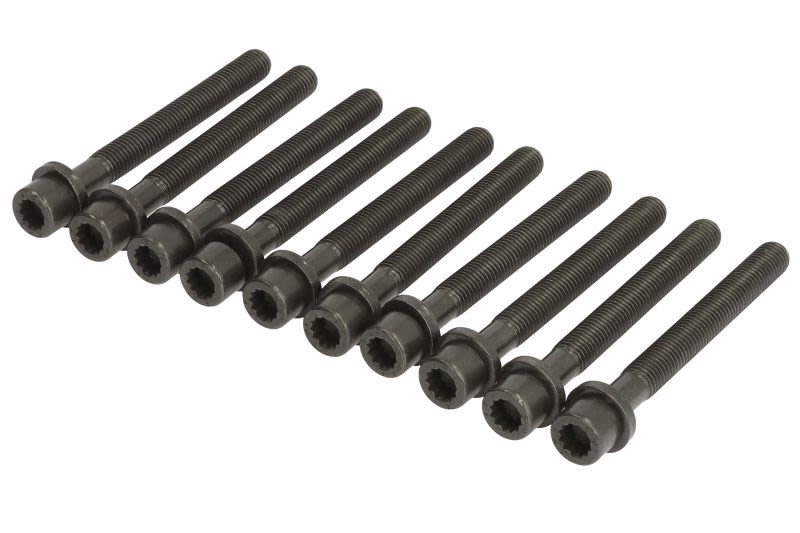 Juego de pernos de culata REINZ 14-32047-01 para Audi A3