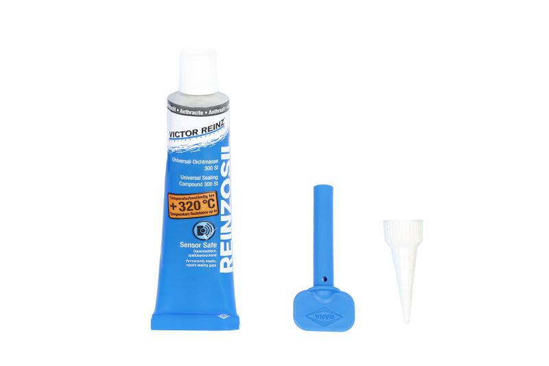 Empaquetadura de cárter de aceite REINZ 70-31414-10