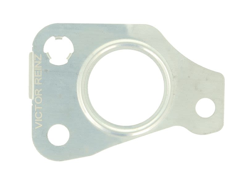 Empaquetadura de turbocompresor REINZ 71-39542-00 para Fiat Strad