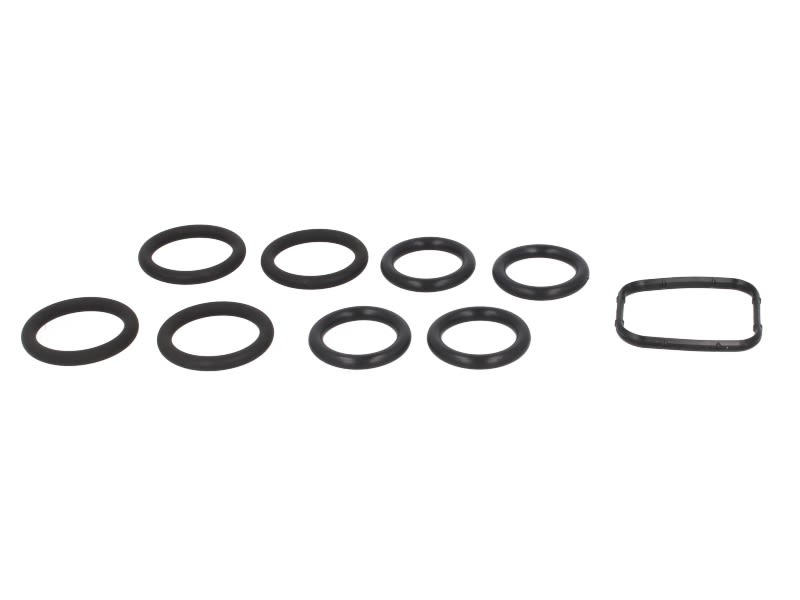 Juego de empaquetaduras de múltiple de admisión REINZ 11-76240-01 para Fiat Scudo