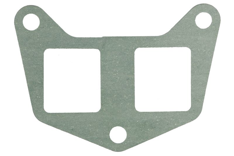 Empaquetadura de múltiple de admisión REINZ 71-33156-00 para Fiat Ducato