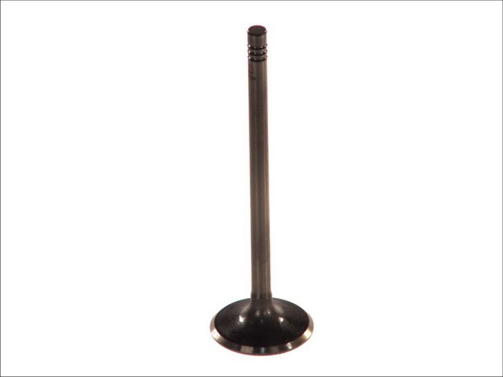 Válvula de admisión PARADOWSCY POPE003 para Opel Corsa B