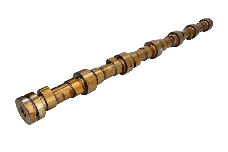 Árbol de levas BF 20100910502 para DAF 75 CF