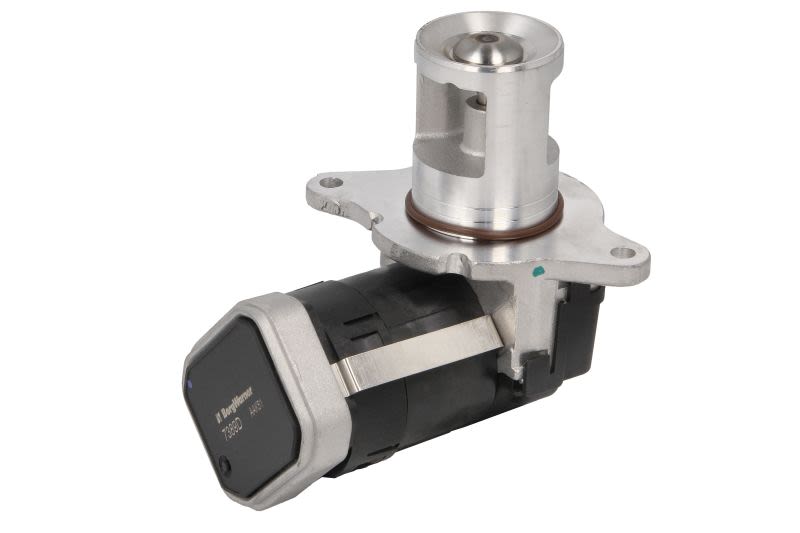 Válvula EGR BORG WARNER 7389D para Mercedes-Benz Clase C (CL203) 2001-2011