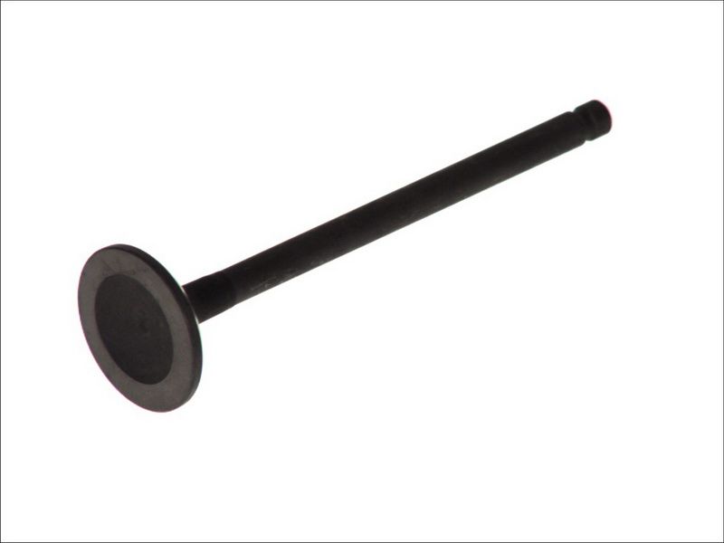 Válvula de escape FRECCIA R6249/RNT para Hyundai Elantra III