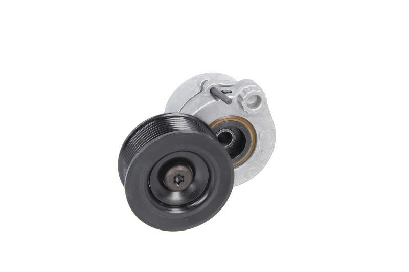 Palanca tensora de correa multicanal PETERS 010.682-00A para Mercedes-Benz Axo