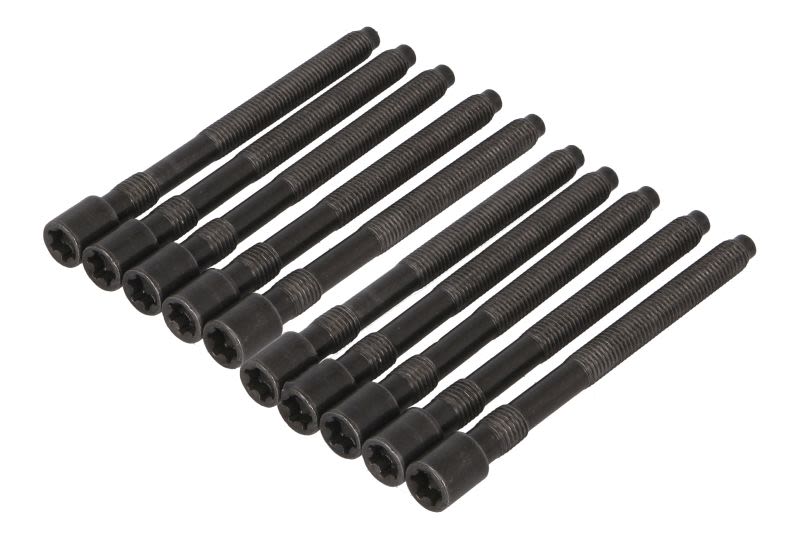 Juego de pernos de culata REINZ 14-32124-01 para Audi A3
