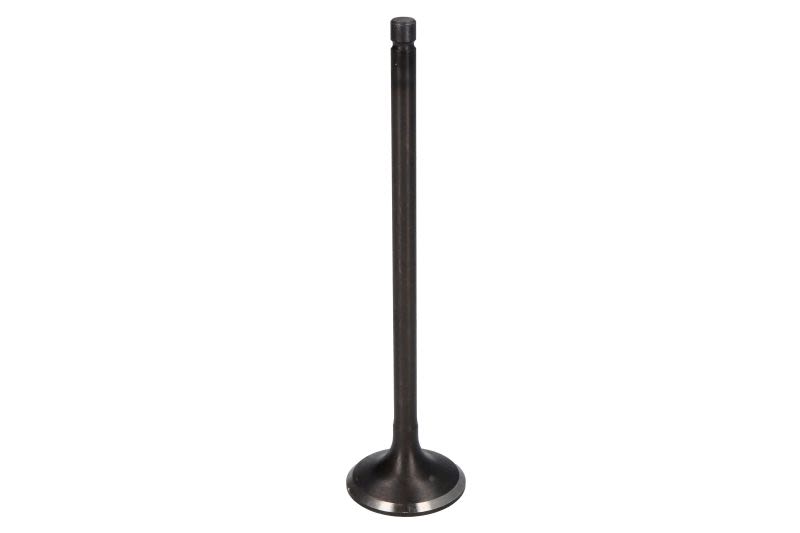 Válvula de admisión FRECCIA R4900/SNT para Honda City IV