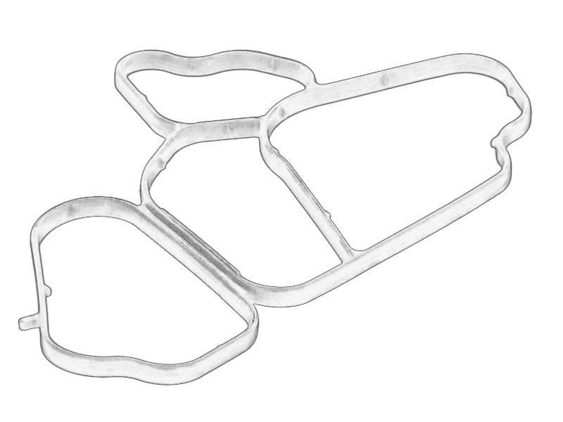 Empaquetadura de carcasa de filtro de aceite OE BMW 11 42 7 788 455 para BMW Serie 3 (E46) 1997-2006