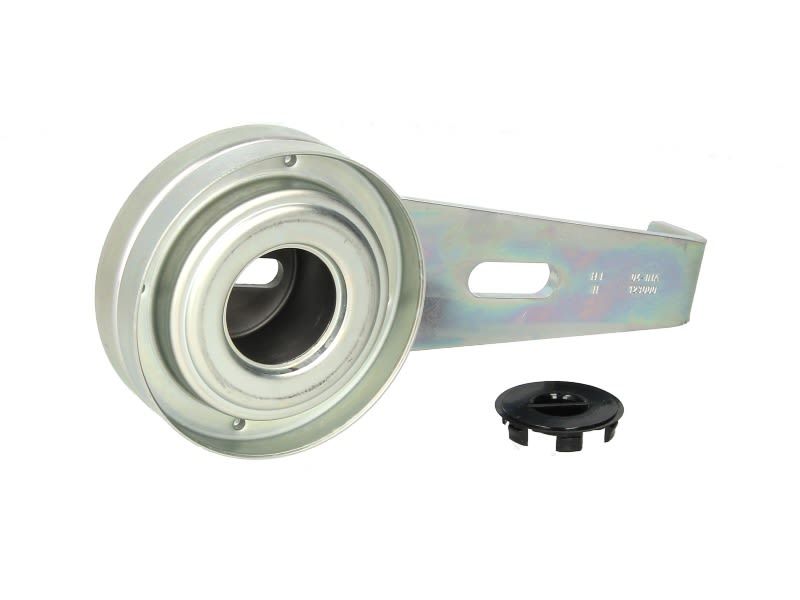 Polea tensora de correa multicanal INA 531 0097 10 para Fiat Ducato