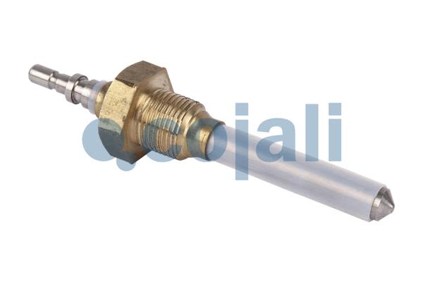 Sensor de nivel del líquido lavaparabrisas COJALI 2260476 para Scania 3