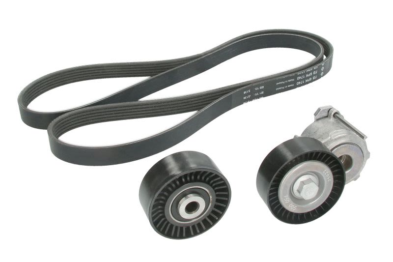 Juego de correa multinervada INA 529 0018 10 para Peugeot 206