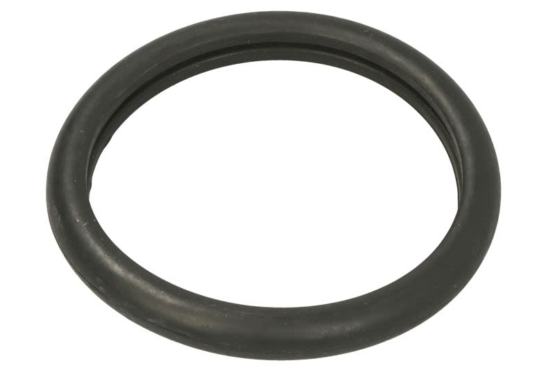 Empaquetadura del termostato REINZ 71-27837-00 para Ford Fiest