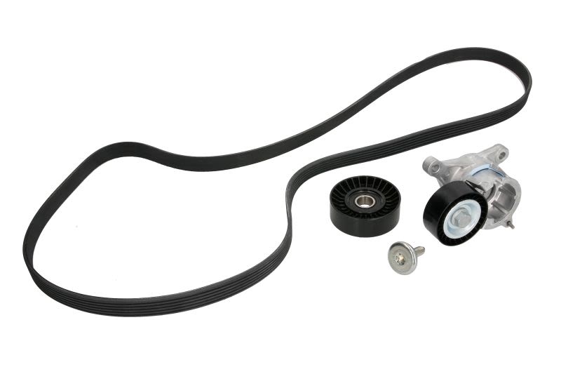 Juego de correa multinervada INA 529 0183 10 para Peugeot 206