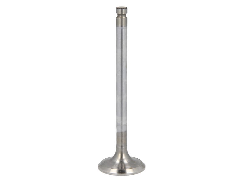 Válvula de admisión FRECCIA R6153/SCR para Fiat Palio