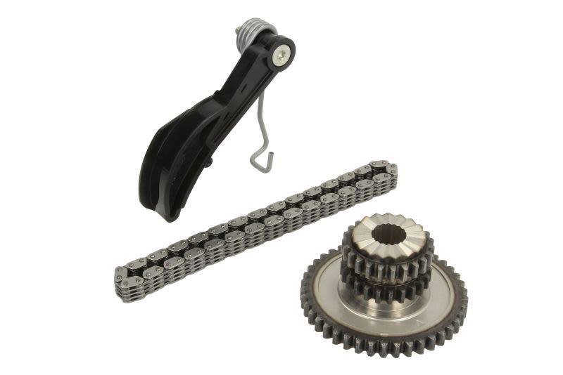Kit de cadena de mando de la bomba de aceite SWAG 30 10 2735