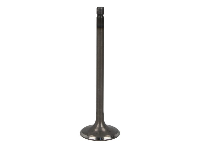 Válvula de admisión FRECCIA R6593/SNT para Nissan Sentra V