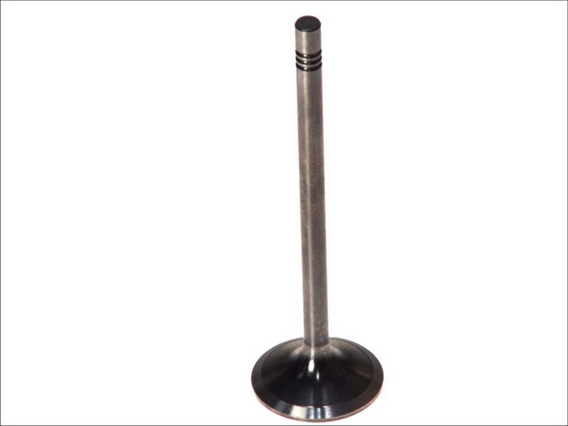 Válvula de admisión PARADOWSCY PMAN007 para MAN ND