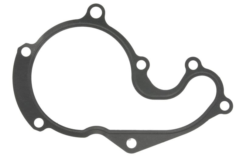 Empaquetadura de bomba de agua REINZ 70-36302-00 para Ford Transit Connect