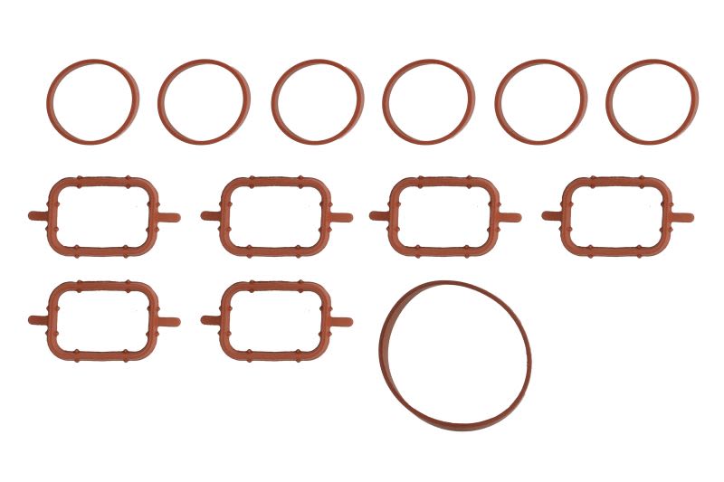 Juego de empaquetaduras de múltiple de admisión REINZ 11-77546-01 para BMW Serie 3 (E46) 1997-2006