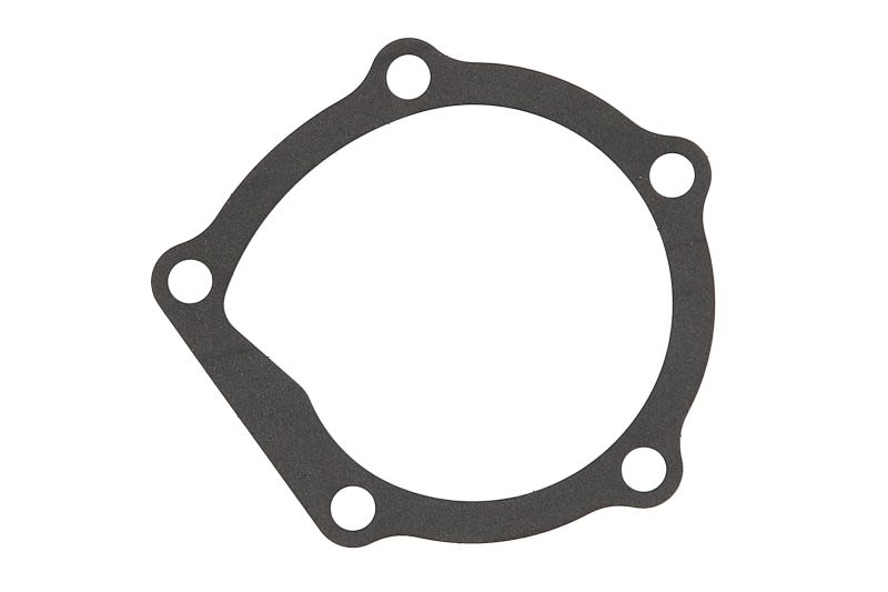 Empaquetadura de bomba de agua ELRING 925.170 para Chevrolet Spark