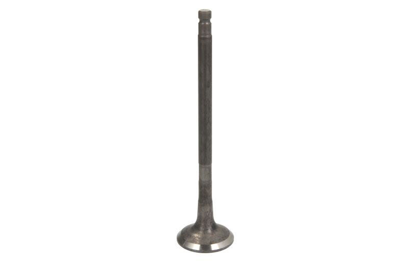 Válvula de escape FRECCIA R6740/RNT para Nissan NP300