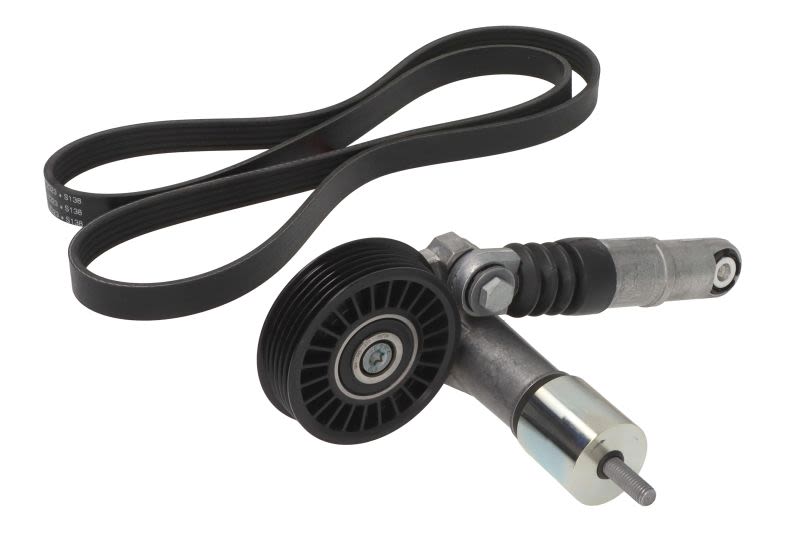 Juego de correa multinervada INA 529 0425 10 para Volkswagen Golf IV