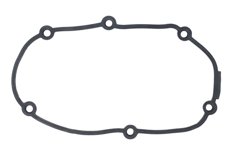 Empaquetadura de tapa de distribución ELRING EL893820 para Audi A3