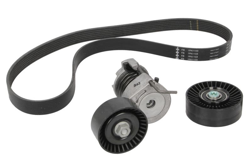 Juego de correa multinervada INA 529 0049 10 para BMW Serie 1 (E81) 2006-2011
