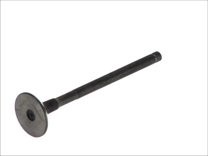 Válvula de escape FRECCIA R6137/RNT para Opel Corsa C