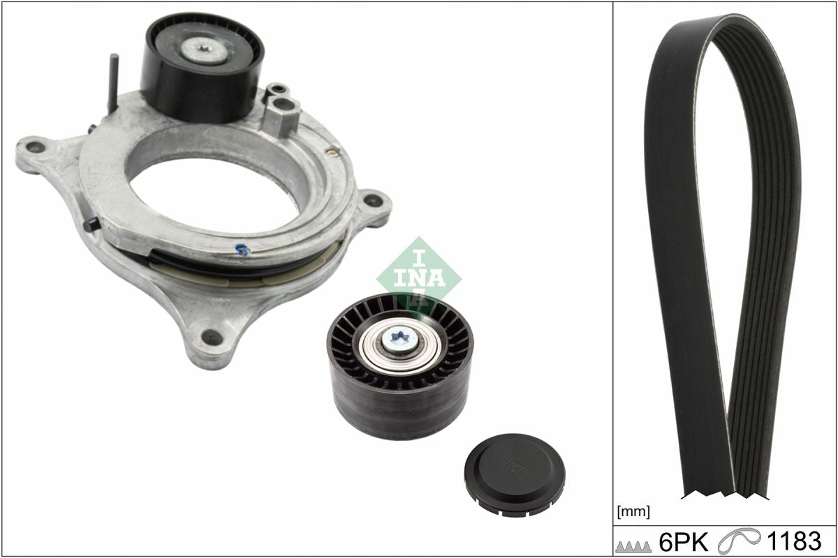 Juego de correa multinervada INA 529 0595 10 para BMW Serie 1 (F20) 2011-2019
