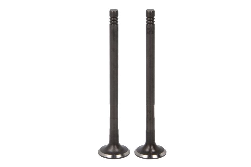 Válvula de escape TRW 181113 para Ford Fiesta V