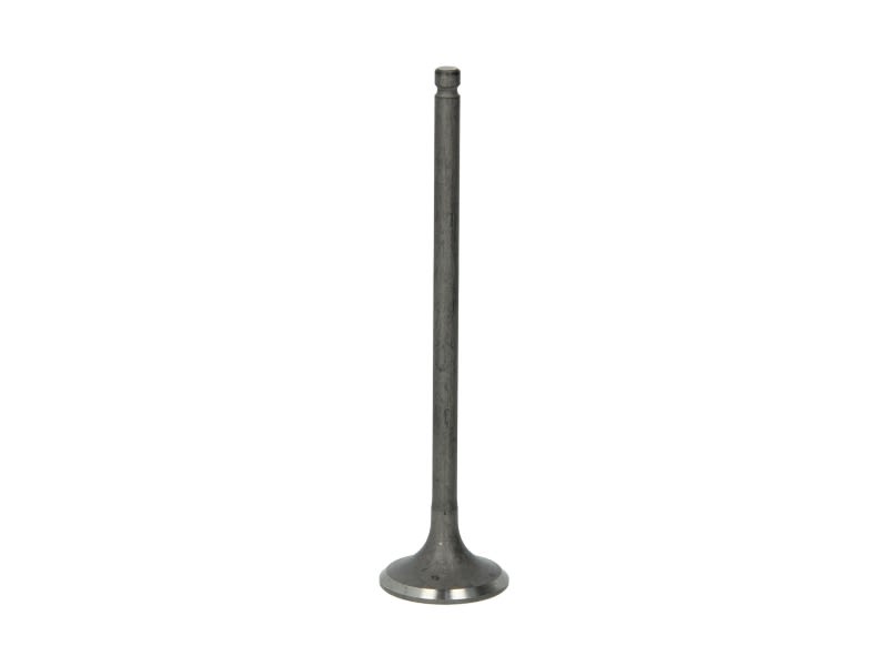 Válvula de escape FRECCIA R6541/RNT para Nissan Versa II
