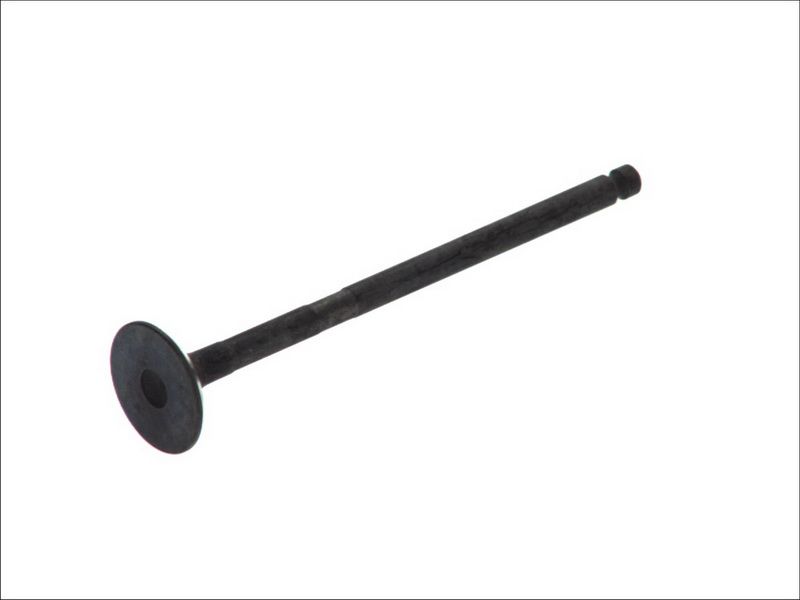 Válvula de escape FRECCIA R6416/RNT para Mazda 3